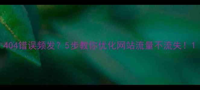 图片 404错误频发？5步教你优化网站流量不流失！1