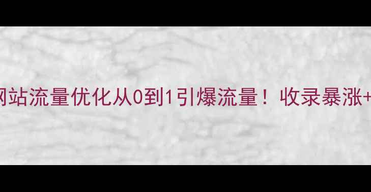 图片 5步实操指南网站流量优化从0到1引爆流量！收录暴涨+转化翻倍秘籍