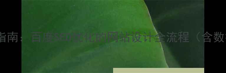 图片 7步实操指南：百度SEO优化的网站设计全流程（含数据监测）