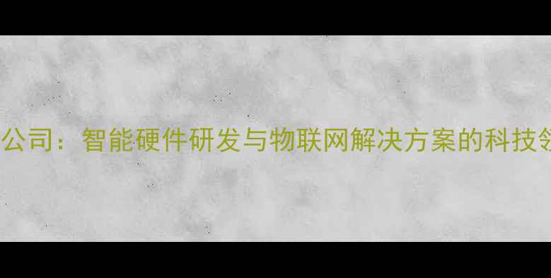 图片 Aismen公司：智能硬件研发与物联网解决方案的科技领航者1