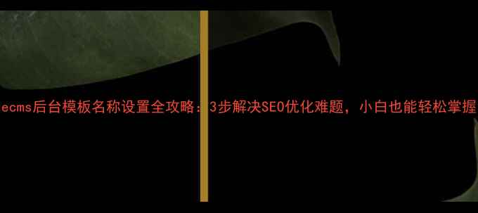 图片 Dedecms后台模板名称设置全攻略：3步解决SEO优化难题，小白也能轻松掌握！1