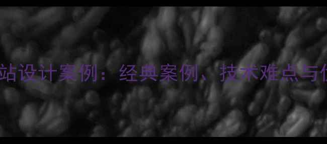 图片 Flash网站设计案例：经典案例、技术难点与优化策略
