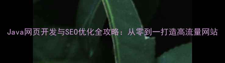 图片 Java网页开发与SEO优化全攻略：从零到一打造高流量网站