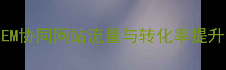 图片 SEO与SEM协同网站流量与转化率提升全攻略