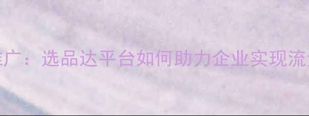 图片 SEO优化与网站推广：选品达平台如何助力企业实现流量与转化双增长2