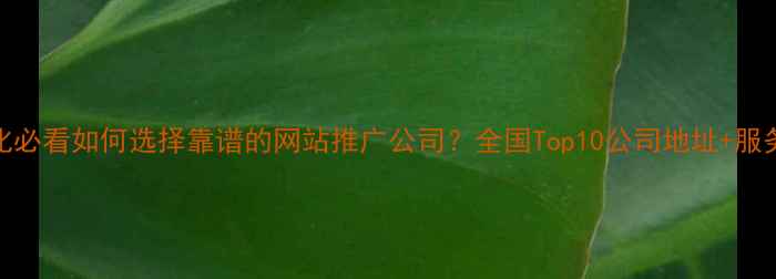 图片 SEO优化必看如何选择靠谱的网站推广公司？全国Top10公司地址+服务对比2