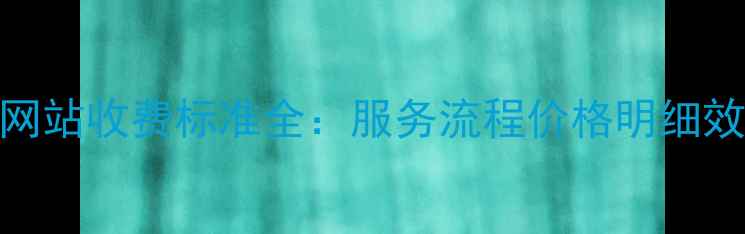图片 SEO优化网站收费标准全：服务流程价格明细效果保障2