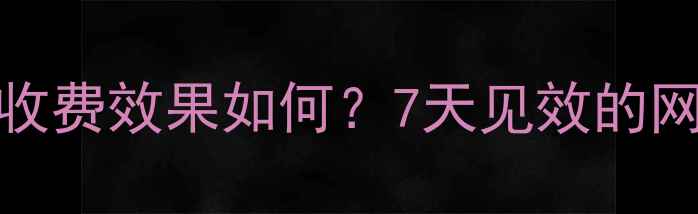 图片 SEO排名按天收费效果如何？7天见效的网站优化方案2