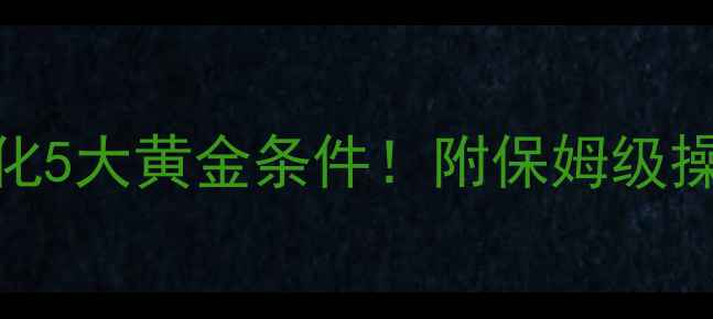 图片 SEO网站优化5大黄金条件！附保姆级操作指南🔥2