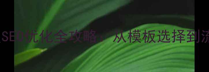 图片 phpcms模板建站百度SEO优化全攻略：从模板选择到流量突破的实战指南2