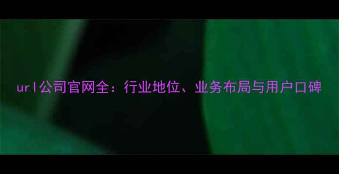 图片 url公司官网全：行业地位、业务布局与用户口碑