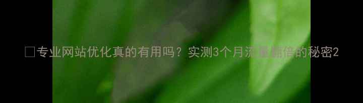 图片 ✅专业网站优化真的有用吗？实测3个月流量翻倍的秘密2