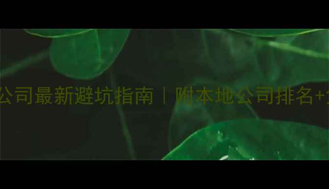 图片 ✨威海网站开发公司最新避坑指南｜附本地公司排名+免费方案对比✨2