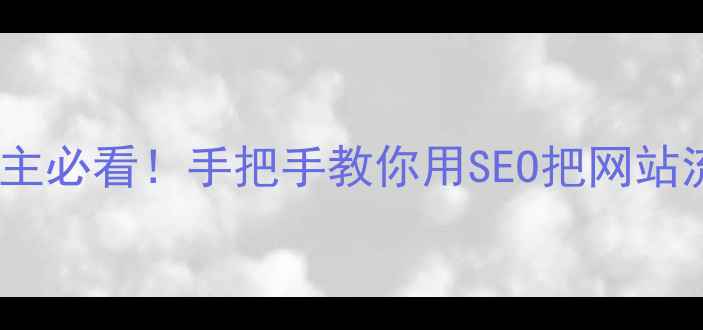 图片 ✨山东企业主必看！手把手教你用SEO把网站流量翻3倍✨