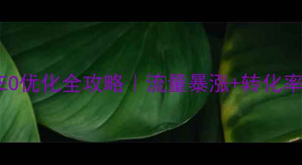 图片 ✨招远通商网站SEO优化全攻略｜流量暴涨+转化率翻倍实战指南✨1