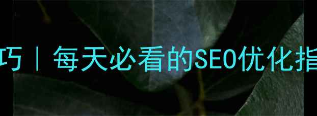 图片 ✨最新网站优化技巧｜每天必看的SEO优化指南（附实操案例）