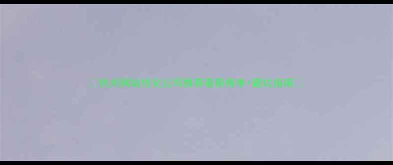 图片 ✨杭州网站优化公司推荐最新榜单+避坑指南💻