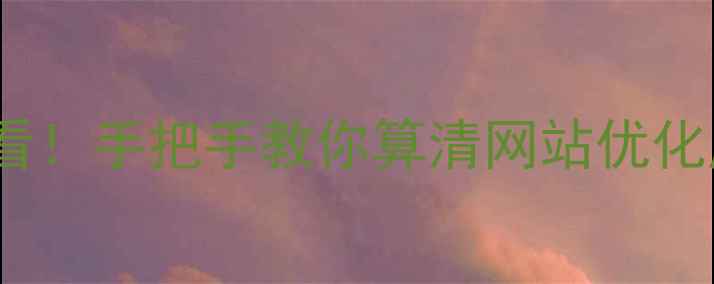 图片 ✨甘肃企业主必看！手把手教你算清网站优化成本+避雷攻略✨