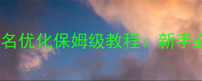 图片 ✨百度SEO必看网站排名优化保姆级教程：新手必学的5大核心技巧✨2