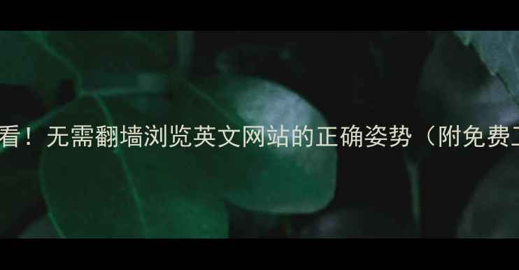 图片 ✨百度SEO必看！无需翻墙浏览英文网站的正确姿势（附免费工具清单）🔥