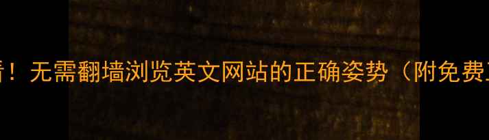 图片 ✨百度SEO必看！无需翻墙浏览英文网站的正确姿势（附免费工具清单）🔥2
