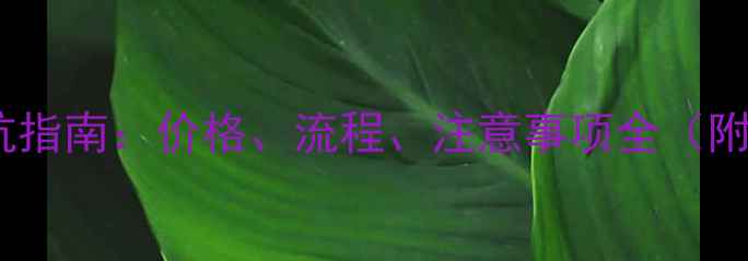图片 ✨网站建设避坑指南：价格、流程、注意事项全（附详细报价表）1