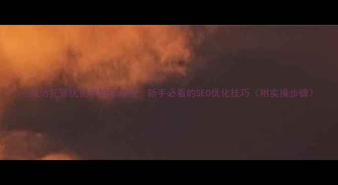 图片 ✨网站托管优化保姆级教程｜新手必看的SEO优化技巧（附实操步骤）