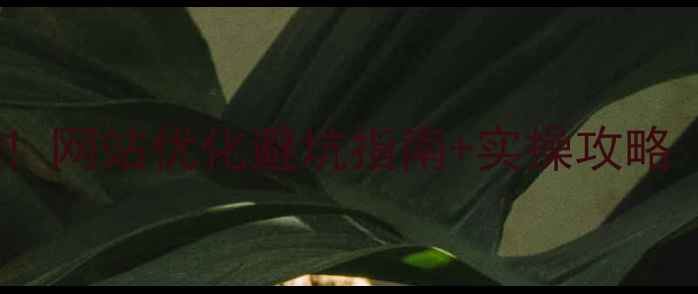 图片 ✨襄阳本地企业必看！网站优化避坑指南+实操攻略（附免费诊断工具）1