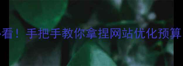 图片 ✨连云港企业主必看！手把手教你拿捏网站优化预算，避开万元坑位！