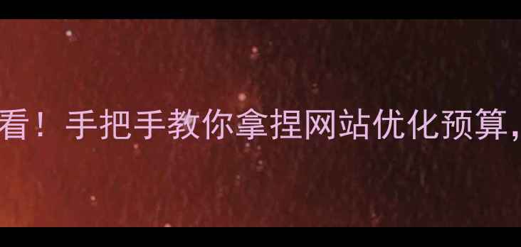 图片 ✨连云港企业主必看！手把手教你拿捏网站优化预算，避开万元坑位！2