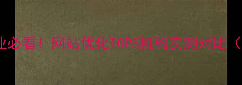 图片 ✨长葛本地企业必看！网站优化TOP5机构实测对比（附避坑指南）2