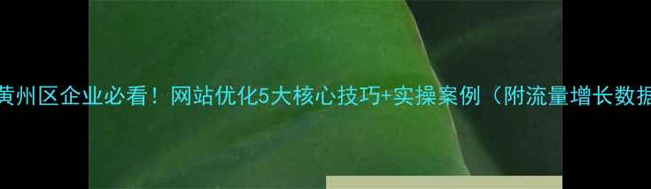 图片 ✨黄州区企业必看！网站优化5大核心技巧+实操案例（附流量增长数据）