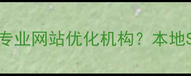 图片 万州企业如何选择专业网站优化机构？本地SEO排名与实操指南