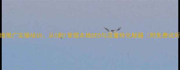 图片 万州网络推广实操培训：从0到1掌握本地SEO与流量转化秘籍（附免费试听通道）