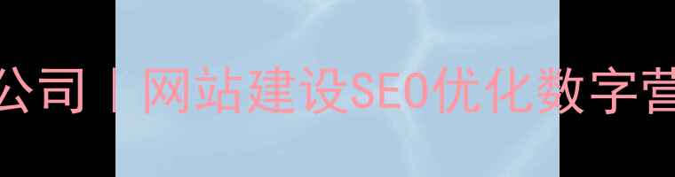 图片 上海普陀专业网络公司｜网站建设SEO优化数字营销一站式解决方案