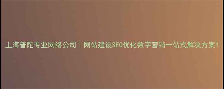图片 上海普陀专业网络公司｜网站建设SEO优化数字营销一站式解决方案1