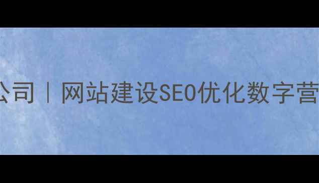 图片 上海普陀专业网络公司｜网站建设SEO优化数字营销一站式解决方案2
