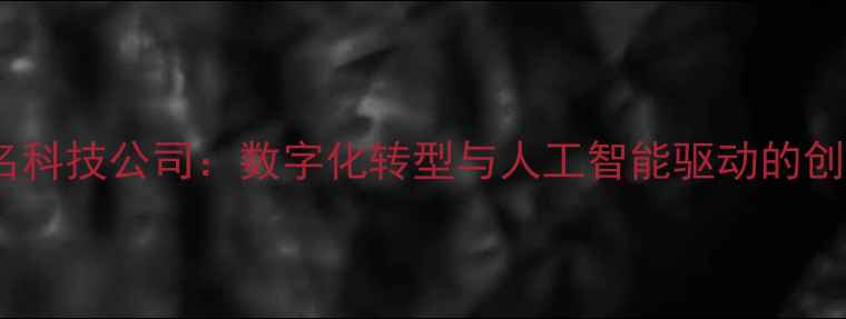 图片 上海知名科技公司：数字化转型与人工智能驱动的创新实践2