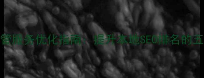图片 上海网站托管服务优化指南：提升本地SEO排名的五大核心策略