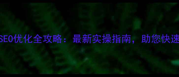 图片 东莞企业网站SEO优化全攻略：最新实操指南，助您快速提升本地排名