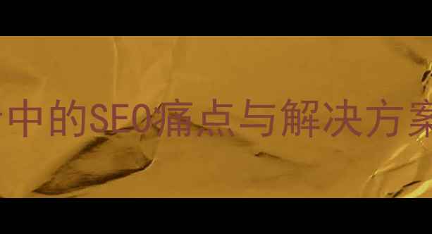 图片 个人网站设计中的SEO痛点与解决方案（1,200字）