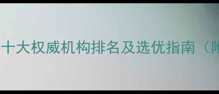 图片 中国网站自然优化十大权威机构排名及选优指南（附免费评估工具）1