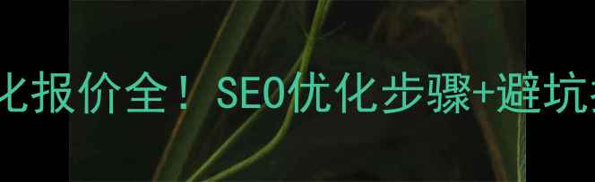 图片 丰台区企业必看最新网站优化报价全！SEO优化步骤+避坑指南（附本地服务商推荐）1
