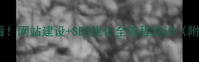 图片 丰都企业必看！网站建设+SEO优化全流程培训（附实操案例）1