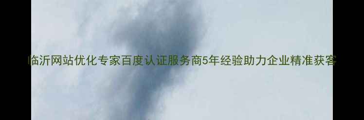 图片 临沂网站优化专家百度认证服务商5年经验助力企业精准获客