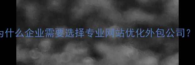图片 为什么企业需要选择专业网站优化外包公司？1