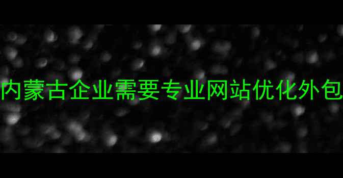 图片 为什么内蒙古企业需要专业网站优化外包服务？