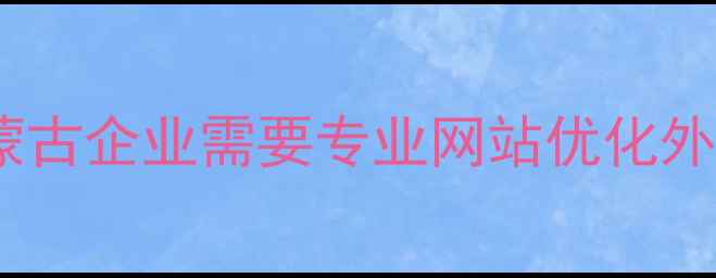 图片 为什么内蒙古企业需要专业网站优化外包服务？1