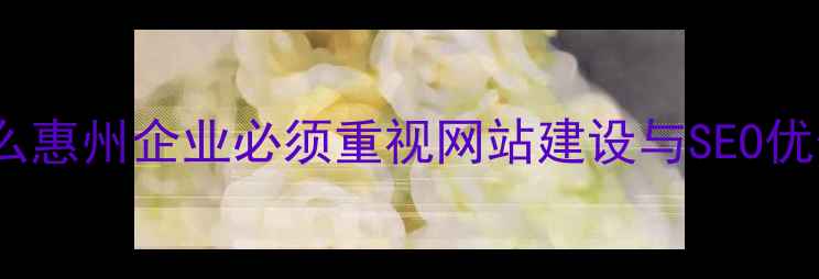 图片 为什么惠州企业必须重视网站建设与SEO优化？1