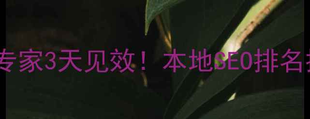 图片 丽水网站优化专家3天见效！本地SEO排名提升+免费诊断